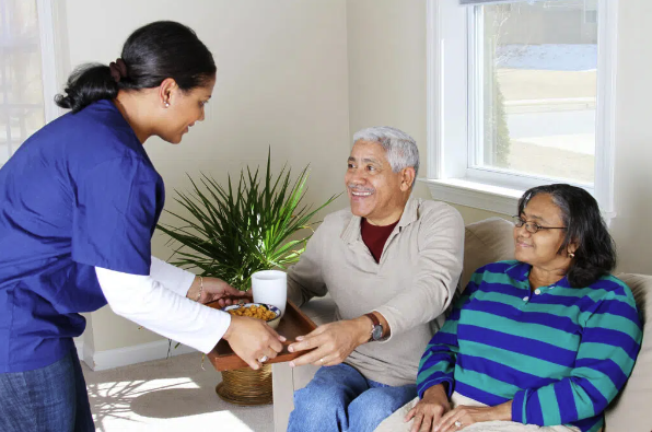 home care michigan